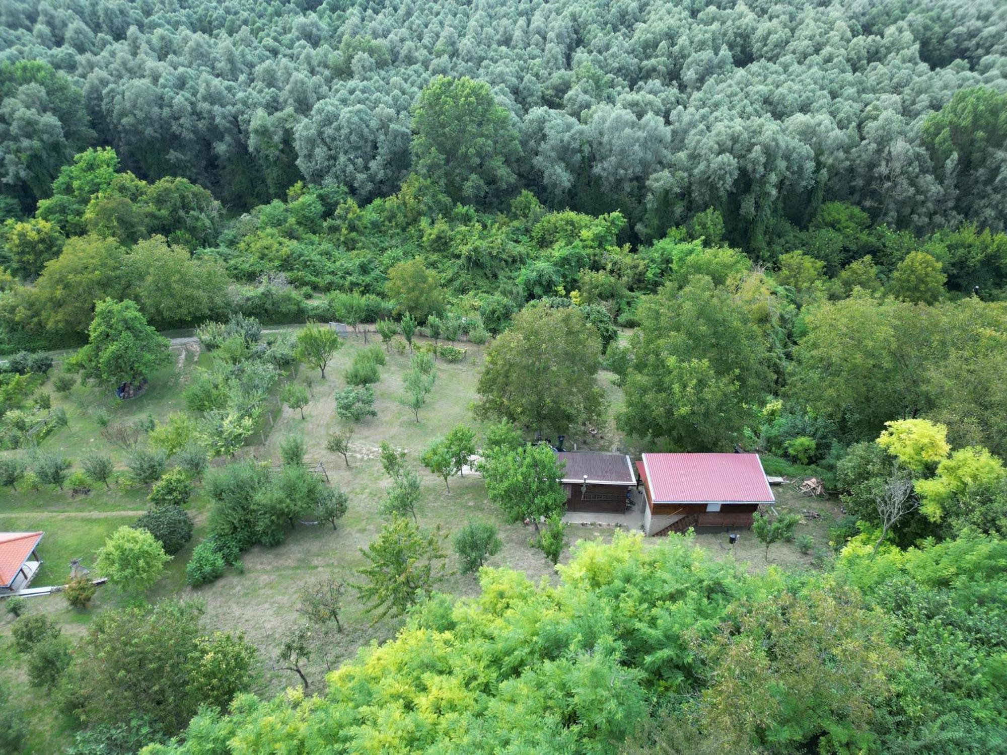 Aljmaš Odmor Za Dusu I Tijelo U Srcu Prirodeヴィラ エクステリア 写真